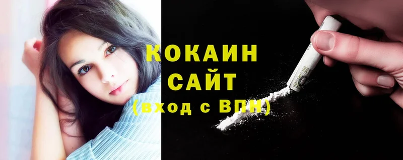 ссылка на мегу вход  Новозыбков  COCAIN Колумбийский 