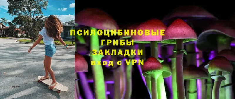 Галлюциногенные грибы Magic Shrooms  Новозыбков 